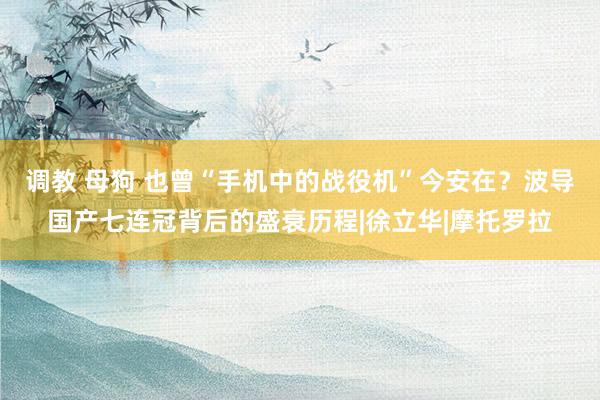 调教 母狗 也曾“手机中的战役机”今安在？波导国产七连冠背后的盛衰历程|徐立华|摩托罗拉