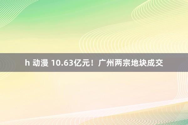 h 动漫 10.63亿元！广州两宗地块成交