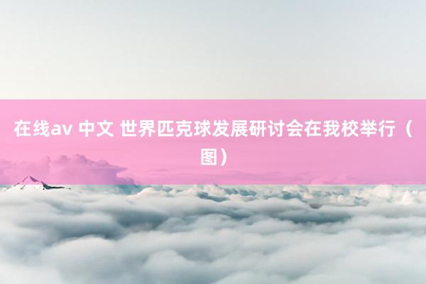 在线av 中文 世界匹克球发展研讨会在我校举行（图）