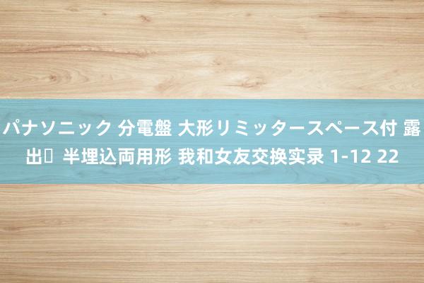 パナソニック 分電盤 大形リミッタースペース付 露出・半埋込両用形 我和女友交换实录 1-12 22