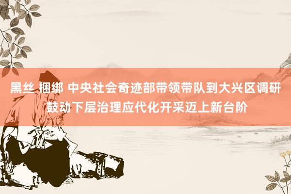 黑丝 捆绑 中央社会奇迹部带领带队到大兴区调研 鼓动下层治理应代化开采迈上新台阶