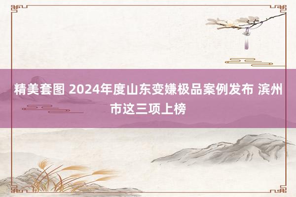 精美套图 2024年度山东变嫌极品案例发布 滨州市这三项上榜