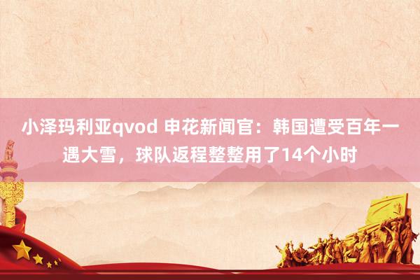 小泽玛利亚qvod 申花新闻官：韩国遭受百年一遇大雪，球队返程整整用了14个小时