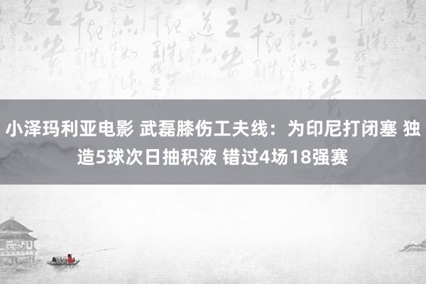 小泽玛利亚电影 武磊膝伤工夫线：为印尼打闭塞 独造5球次日抽积液 错过4场18强赛