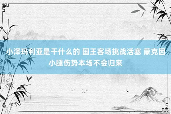 小泽玛利亚是干什么的 国王客场挑战活塞 蒙克因小腿伤势本场不会归来